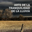 Arte De La Tranquilidad De La Lluvia cover