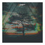 Fall feat. Lea Luxanima - Ivory Mantra Rework