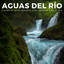 Aguas Del Río: Flujos De Agua Serenos Para Empezar Bien El Día cover