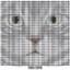 I Have a Cat
