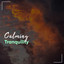 # 1 Album: Calming Tranquility cover