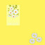 DAISYS cover