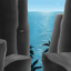 Black Sea Dahu - Transience