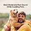 Best Moderate Rain Sound While Cuddling Pets cover