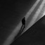 Walking Tall cover