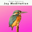 1 Joy Meditation cover