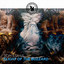 Flight Of The Buzzard - Extended Mix