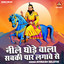 Neele Ghode Wala Sabki Paar Lagave Se cover