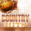 2009 Country Hits cover