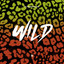W.I.L.D. - Extended Mix