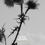 Lacrimas Profundere - O Silent Fear