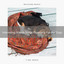 Interesting Woods Songs Especially For Our Dogs cover