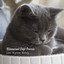 Binaural Soft Purrs: Cats' Naptime Melody cover