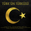 Ayyıldız Kolye cover