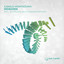 Camilo Montezuma — Reborn (Flaminik Remix) cover art