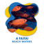A Faifai Beach Waters cover