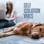 Self Isolation Vibes cover