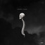 Spinal fluid artwork