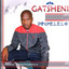 Go Gatsheni Go cover