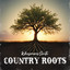 Q106.8 Country | WQKT-DB - Drop 2