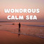 Wondrous Calm Sea cover