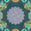 Bloom cover