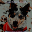 Background Music for Sleeping Puppies cover
