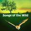 Songs of the Wild cover