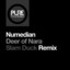 Deer Of Nara - Slam Duck Extended Remix