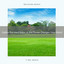 2020 Best: Gather the Hard Relax as the Forest Changes Your Mood cover