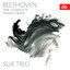 Piano Trio in B-Flat Major, Op. 97: No. 1, Allegro moderato cover
