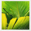 Chartwell - CW-001-26-R15E