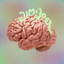 Mind Print