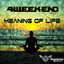 Meaning Of Life