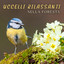 Atmosfera della foresta di primavera cover