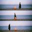 L'oiseau bleu cover