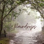 Raindrops cover