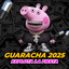 Explota La Fiesta (Guaracha 2025) cover