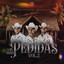 Ya Tus Caricias cover