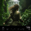 Decabrsky - Vine