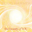 Doug Hammer - The Beauty of You