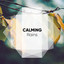 Calming Rains cover