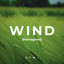 Wind (Reimagined) cover