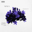 Nunca artwork
