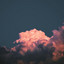 Orange Sunset