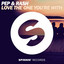 Love the One You're With - Extended Mix
