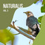 2022 Naturalis Vol. 2 cover