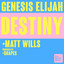 Destiny artwork