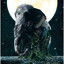 ASCENSION cover