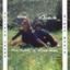 Ltochu L Tamoo cover